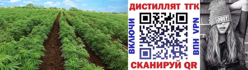 Дистиллят ТГК жижа Похвистнево