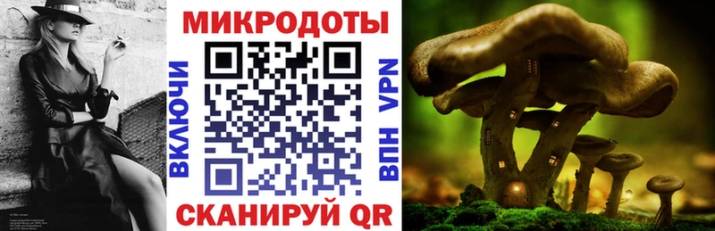 blacksprut вход Похвистнево Галлюциногенные грибы GOLDEN TEACHER